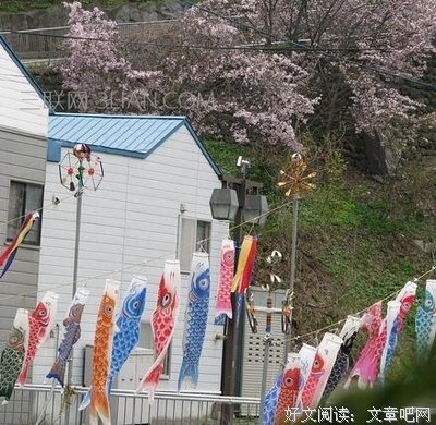 关于卿似的名言