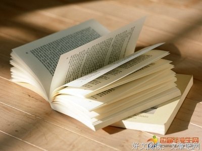 关于扬扬的格言