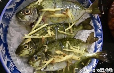 关于酸梅的名句摘抄