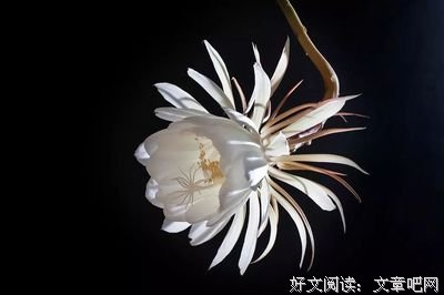 《静美那于和》的句子