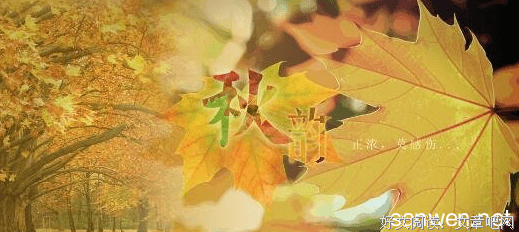 关于经典中的经典的优美句子