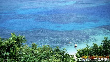 施海洋的句子