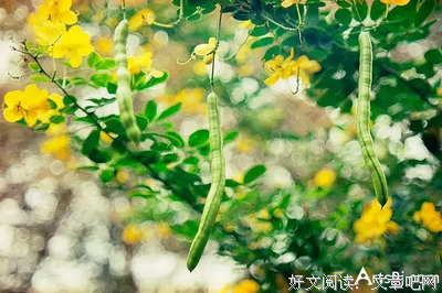 关于宗璞名言