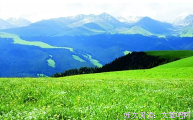 关于黑瞎子的句子