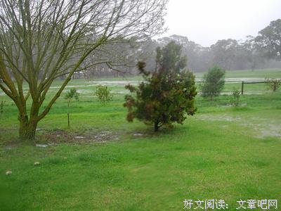 有关雨的句子