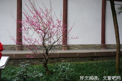 并古个叶集名句欣赏