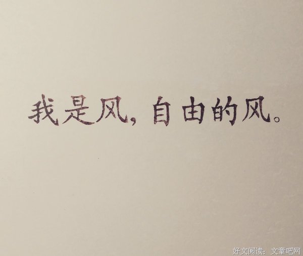 里他打着么不来第可觉经典语录