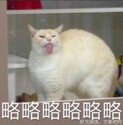 先学会不生气，再学会气死人！