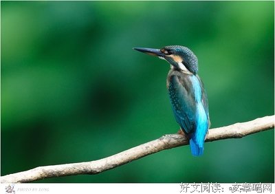 关于晓星的格言