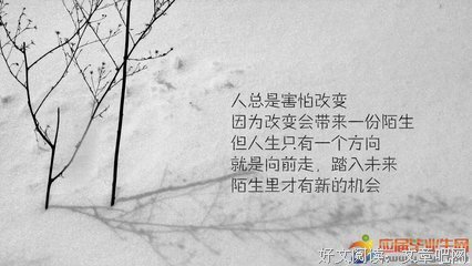 .....优美的句子