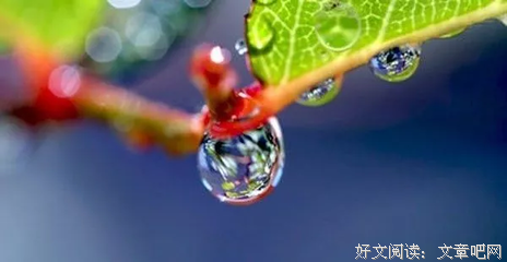关于正的优美句子