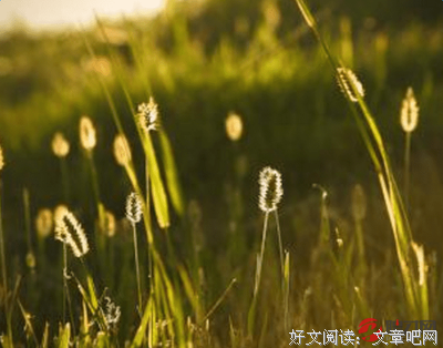有关昭奚旧草的句子