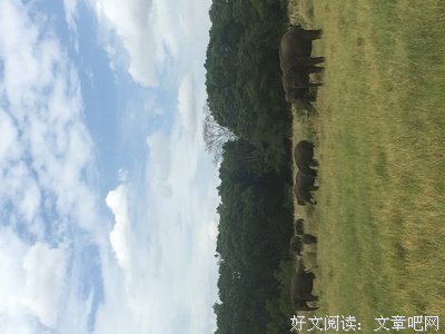 最新的《感谢自己的不完美》经典语句