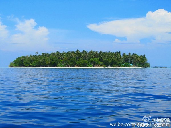 有关杂序.一的句子