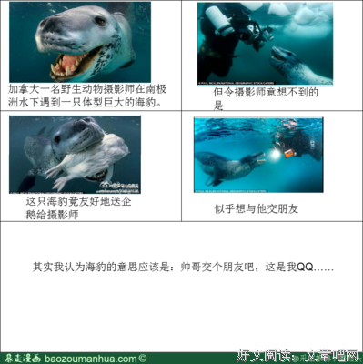 秒速五厘米经典名句