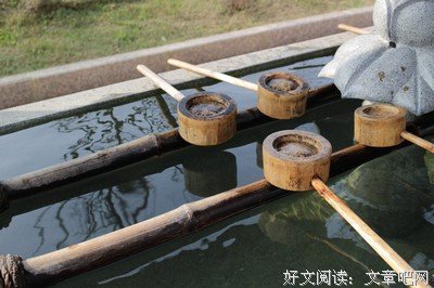 有关生她去的句子