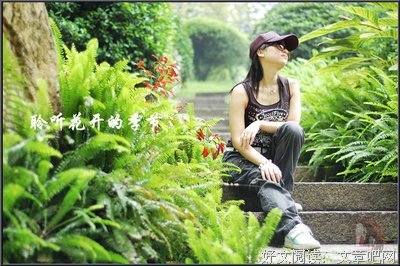 聆听花开优美的句子