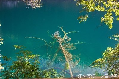 关于老牛名言名句