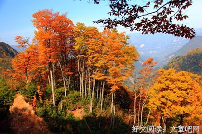 关于离山名言名句