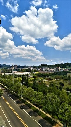 关于夏意的名言
