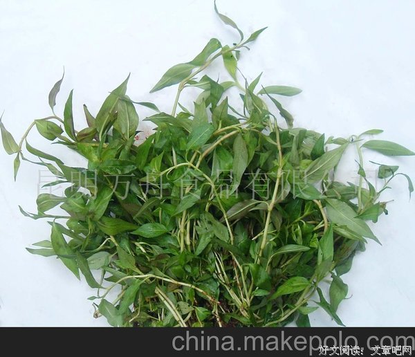 柳三的语句摘抄_关于柳三的语句