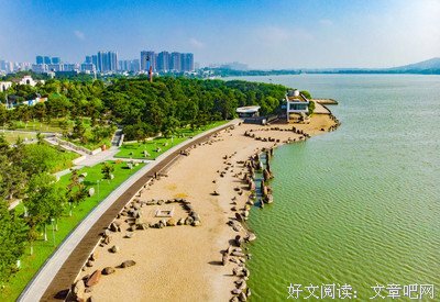 《流浪者》的句子