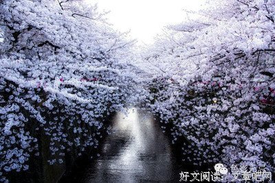 雾山笑横詹的句子