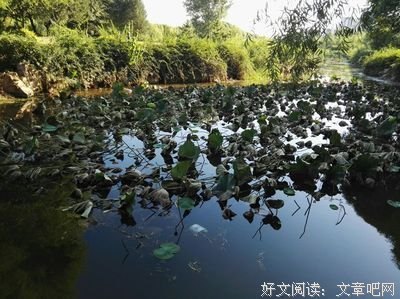 这10个习惯，父母一定要“逼”孩子养成，终身受益！