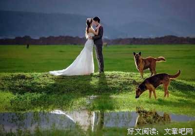 再见了，那个爱而不得的人，我累了