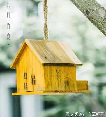 愿你历经成熟，走向天真