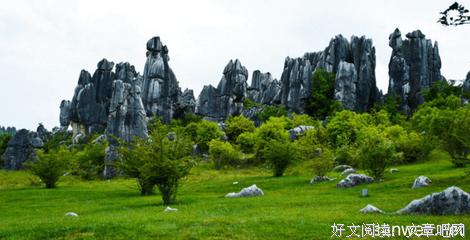 关于谢谢你陪我到最看发的优美句子