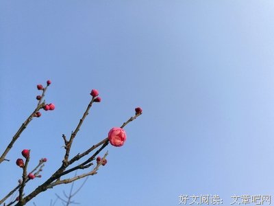 玉楼再心阙慵归去的句子