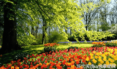 心痕2好词好句