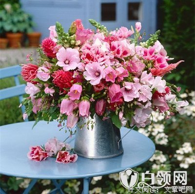 散文美句句子大全