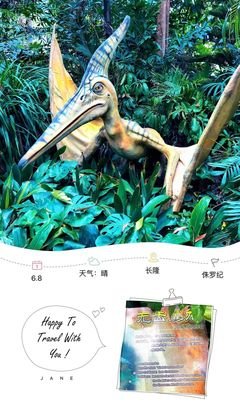 雨林行者读后感10篇