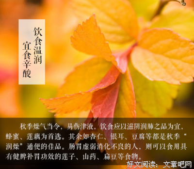 秋分节点 - 自我平衡的几点建议