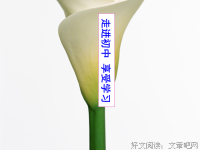谆谆教诲的名句_关于谆谆教诲的名句