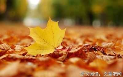 描写风吹草动的经典句子