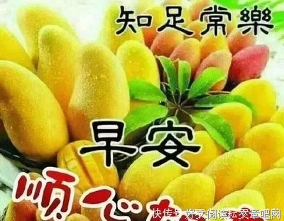 9月23日问候早上好日常祝福语大全，早晨好日常问候语录新版