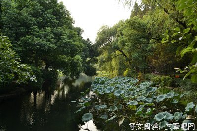 秋分时节， 愿你欢乐不断， 开心无限！