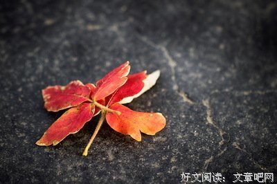 劝你别买IPhone 11，真心的。