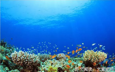 为了成为第一批火星移民，我做了这些准备｜故事FM