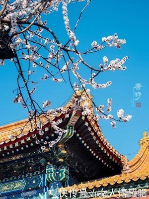 故宫暂停对外开放！他蹲守6年，拍下30000张照片一夜刷屏……
