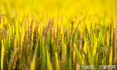 好诗歌