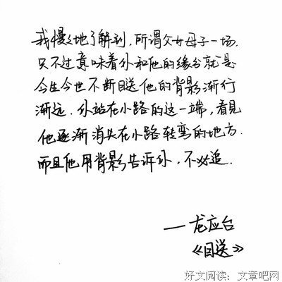 哲的句子