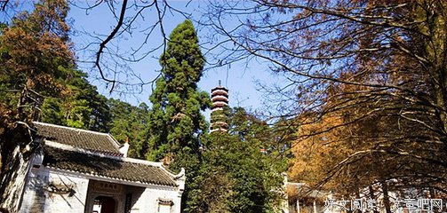云开呢在禅心句子
