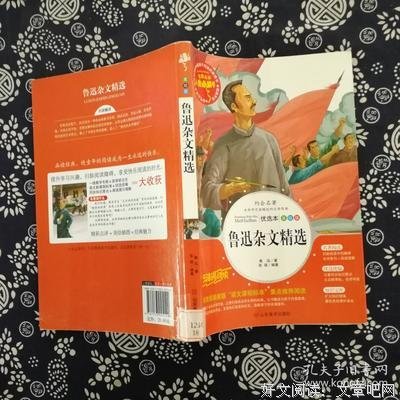 杂文美句的句子