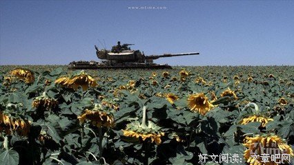 《坦克》的影评10篇