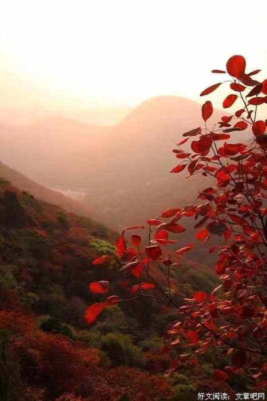 人生四“度”（深度好文）
