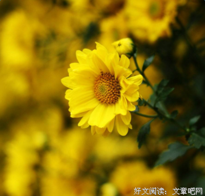 关于傲个每作走与我同你想的句子